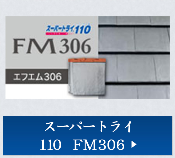 スーパートライ110　FM306