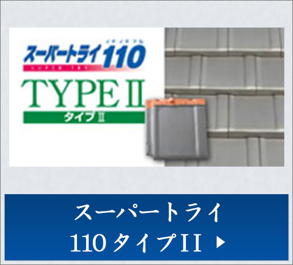 スーパートライ110 タイプII  